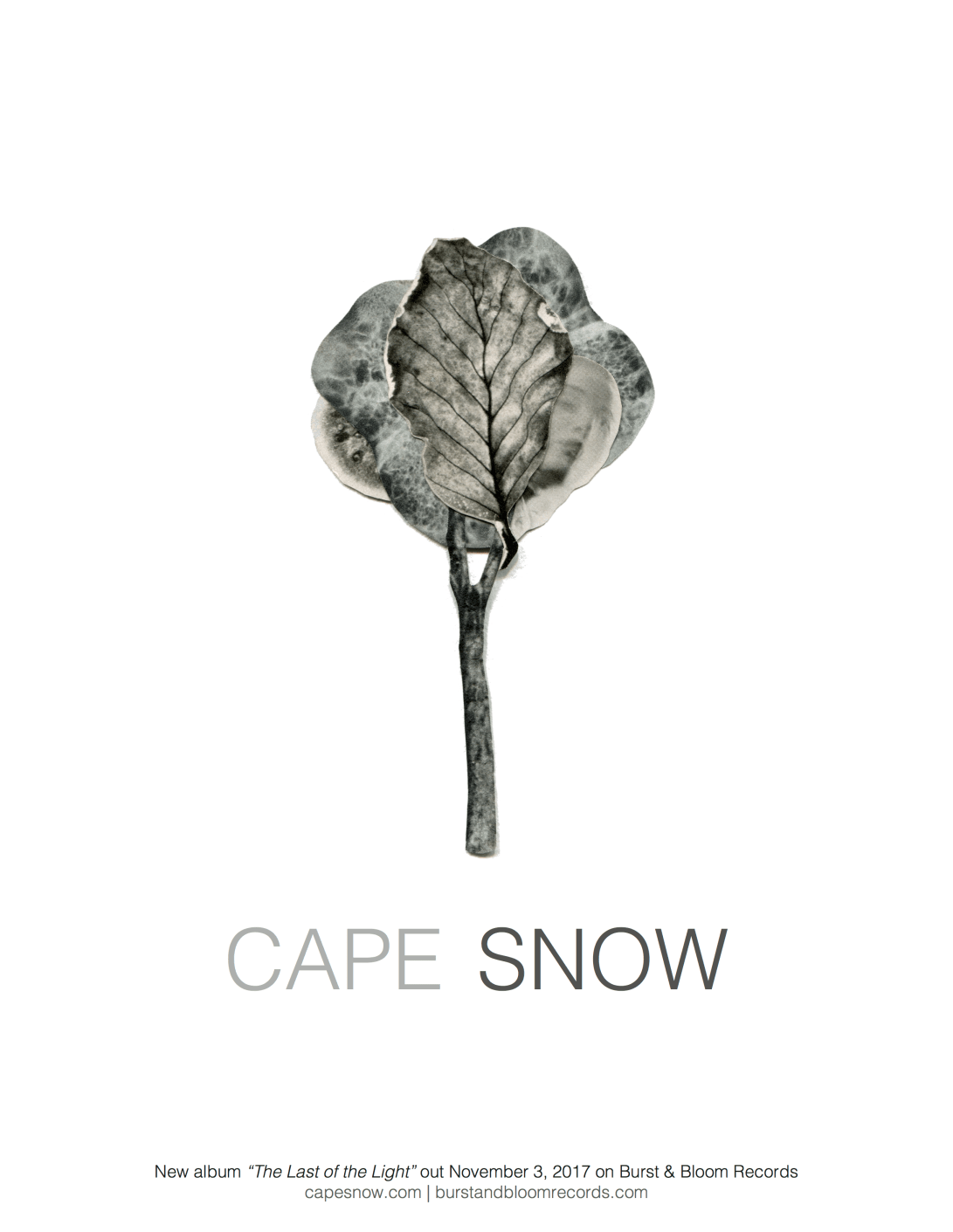 cape snow tour poster