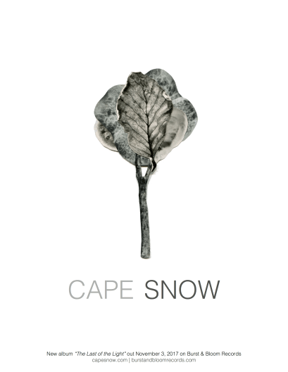 cape snow tour poster